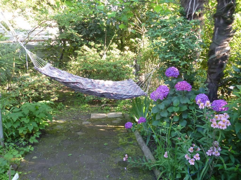 Guest House Elena Махинари Екстериор снимка